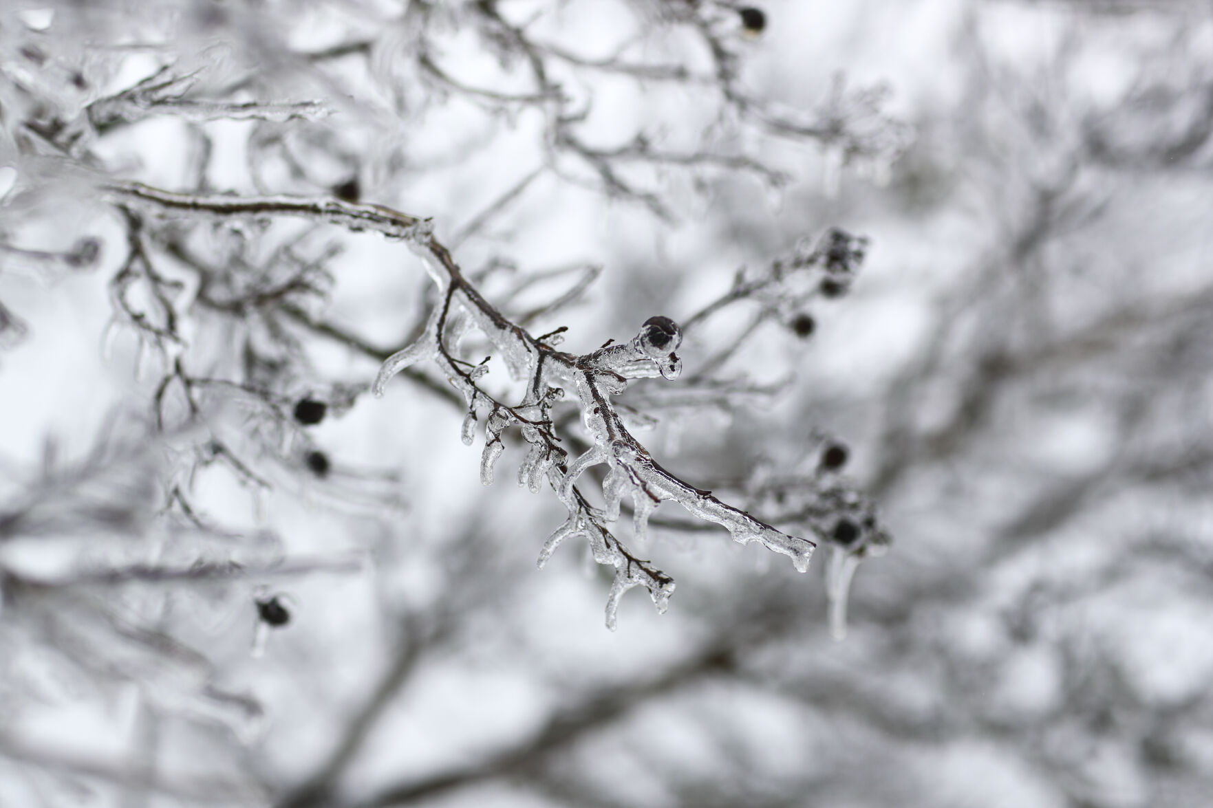 Winter Weather